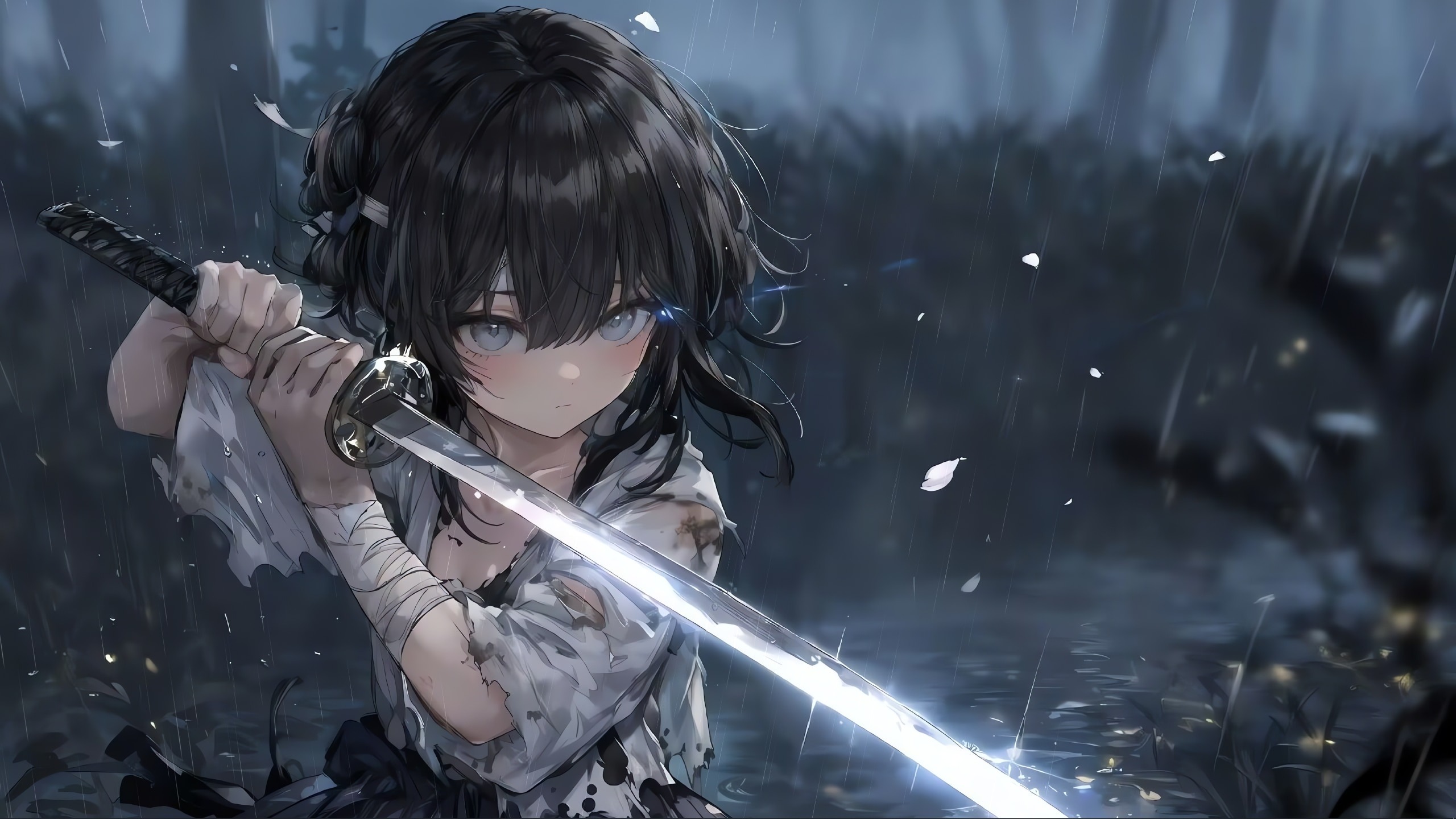 该图片仅用作展示