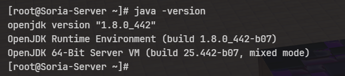 成功配置java环境